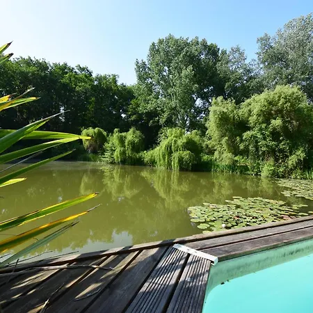 Avec Piscine Privee Et A Chalet *