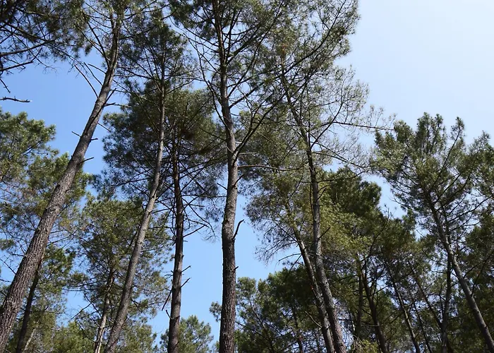 Avec Piscine Privee Et A Sos